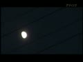 動画:TNC 土曜NEWSファイル・CUBE 特集「脳脊髄液減少症」
